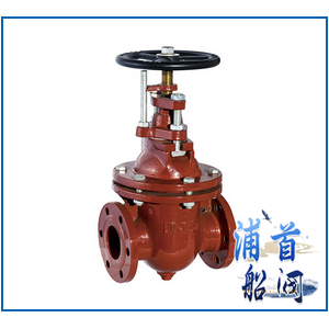 船用法兰铸铁闸阀CB465-95