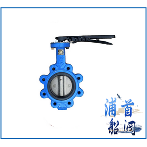 Marine central lug type butterfly valve